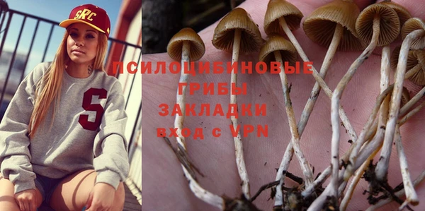 тгк Алексин